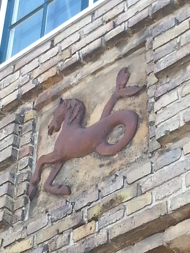 Seahorse on Wall