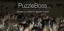 Park Jigsaw Puzzles Demo APK