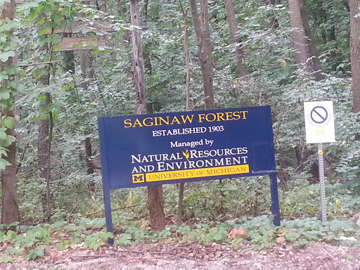 Saginaw Forest 