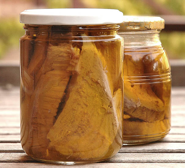 Bonito Fish Preserved in Oil Fish Preservation Recipe Yummly