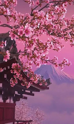 Sakura live wallpaper