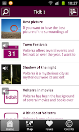 toomuchvolterra poster 2