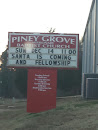 Piney Grove Baptist Church