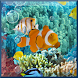 Aquarium ScreenSaver!