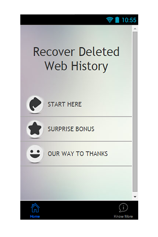 Recover Delete Web History Tip