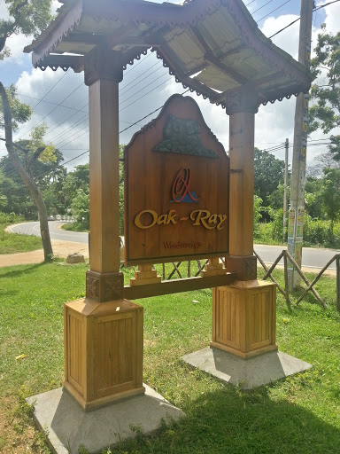 Oak Ray