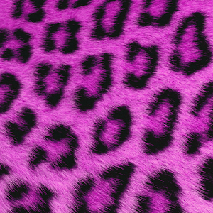 GO SMS Pink Cheetah Theme