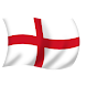 EN Fan Flag Euro 2012 Android App