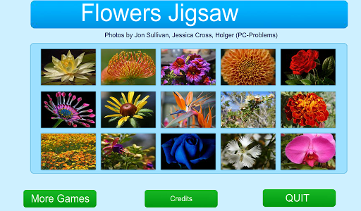 Flowers Jigsaw