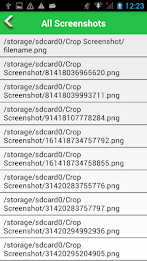 Capture Screenshot poster 15