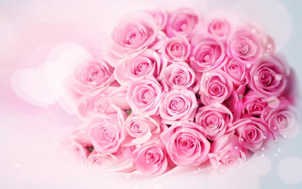 Pink Rose Live Wallpaper Google Play Store Revenue Download