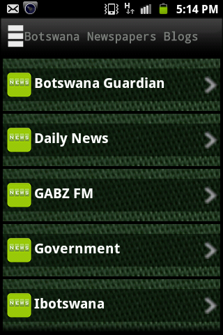 Botswana Newspapers