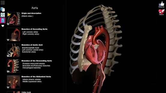 Anatomy Learning for PC-Windows 7,8,10 and Mac apk screenshot 4