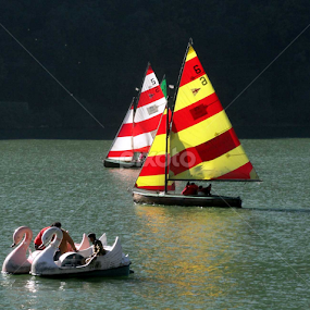 Boting in Naini Lake by नवीन जोशी - Landscapes Travel