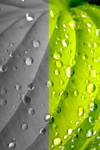 Photo Magic Screenshots 23