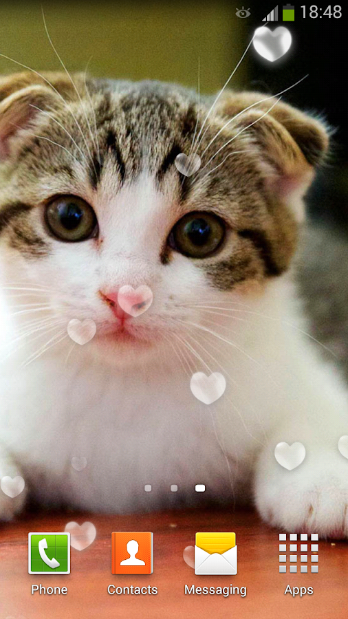  Cute  Cats  Live  Wallpaper  Android Apps on Google Play