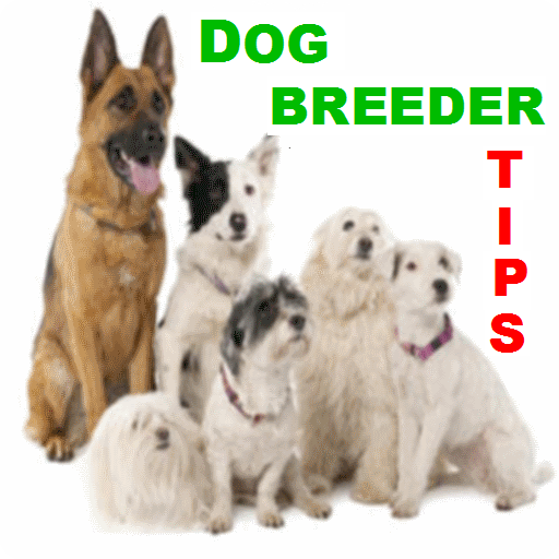 Dog Breeder Guide