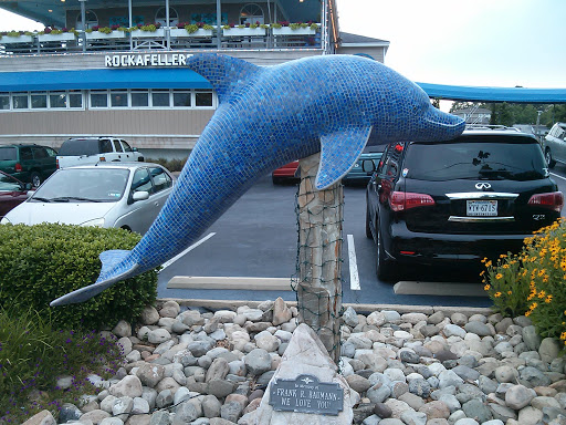 Frank R Baumann Memorial Dolphin