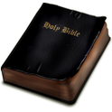 Saving Grace icon