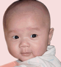 [image001[8].gif]