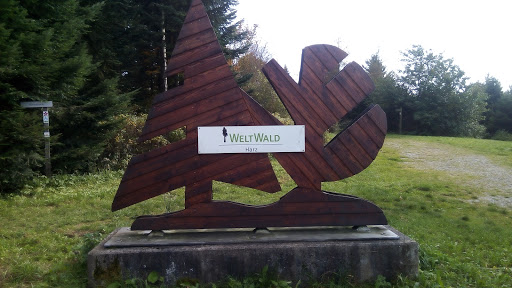 Weltwald Harz
