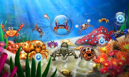 Dream Fish