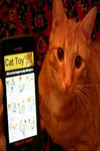How to download Cat Toy patch 1.0 apk for pc