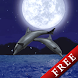Dolphin Night Trial
