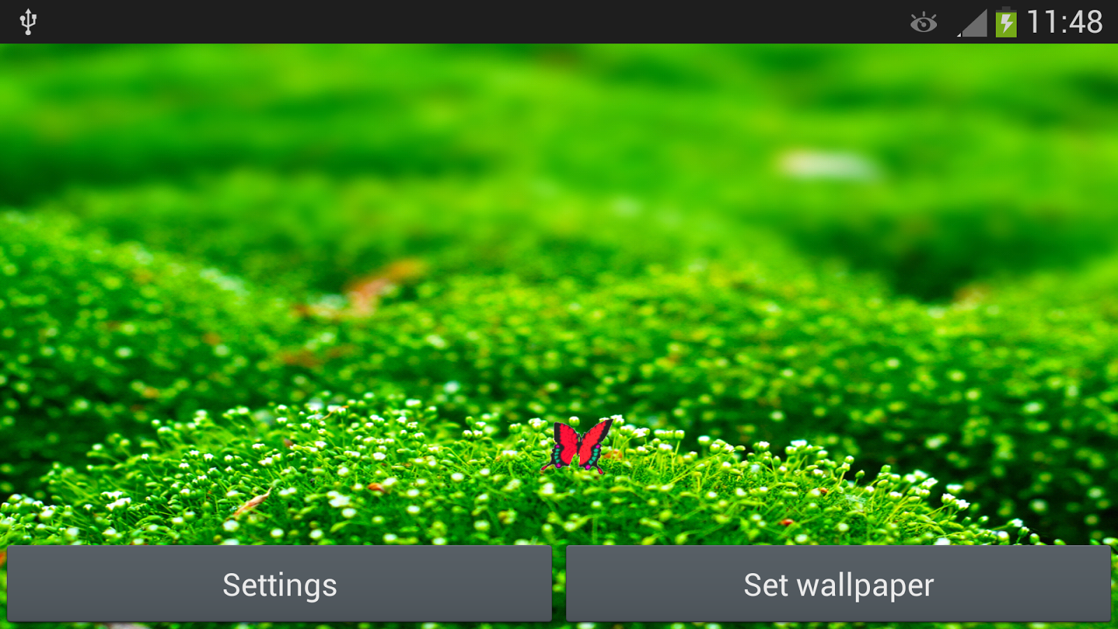 Green Live Wallpaper Android Apps On Google Play