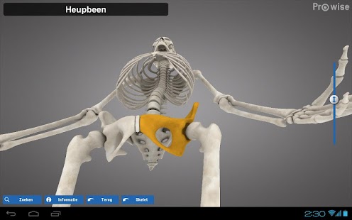 How to get Prowise Skeleton 3D 1.1 apk for pc