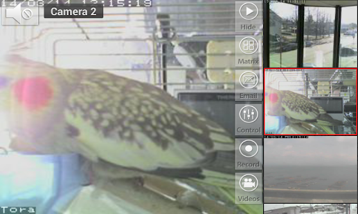 Lastest Viewer for Apexis cameras APK for Android