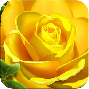 3D Rose Live Wallpaper.apk 1.0