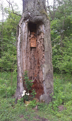Kapliczka w Pniu Drzewa