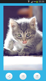 Animal Wallpapers poster 2