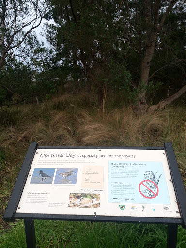 Mortimer Bay Shorebird Sanctuary