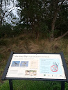 Mortimer Bay Shorebird Sanctuary