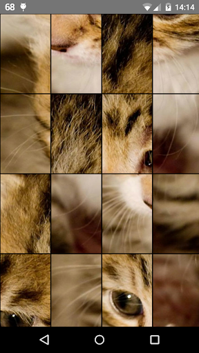 Cats Puzzle