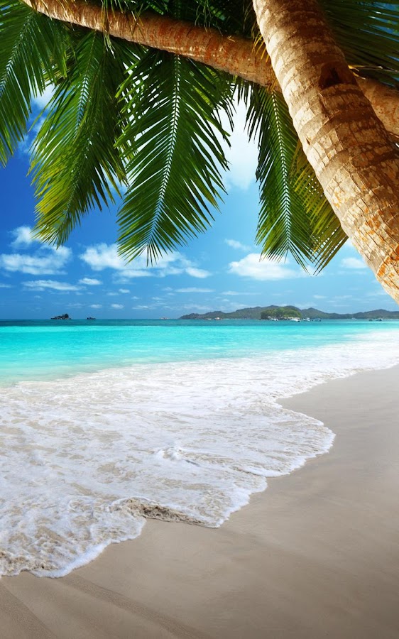 Tropical Beach Live Wallpaper- screenshot