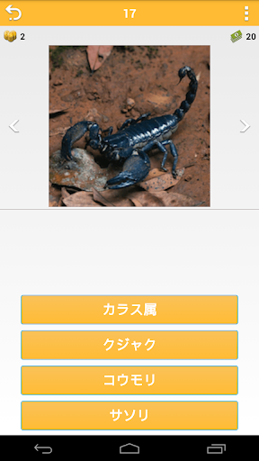 【免費解謎App】Guess Animal-APP點子