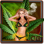 Sexy Weed Girl Magic Touch LWP Apk