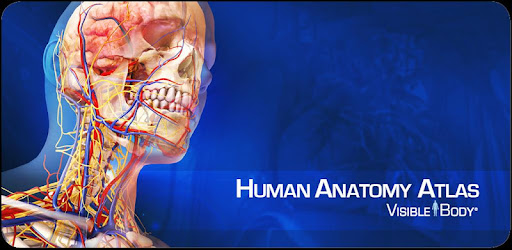 Anatomy Atlas - Animated -  apk apps
