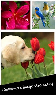 Lastest Collage Mania APK