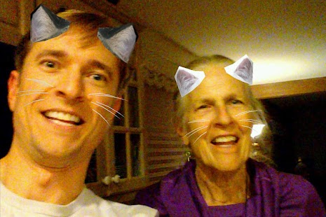 Download Kittens APK for Android