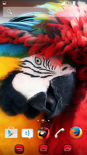 eXPERIAnce Theme Scarlet Macaw