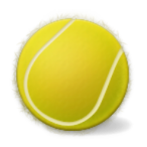 Tennis Partner 1.1
