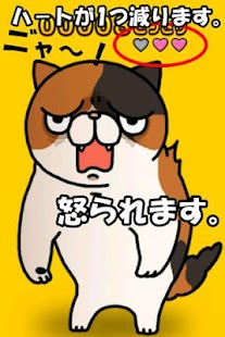 download どっきりねこ〜かわいい猫アプリ〜 free