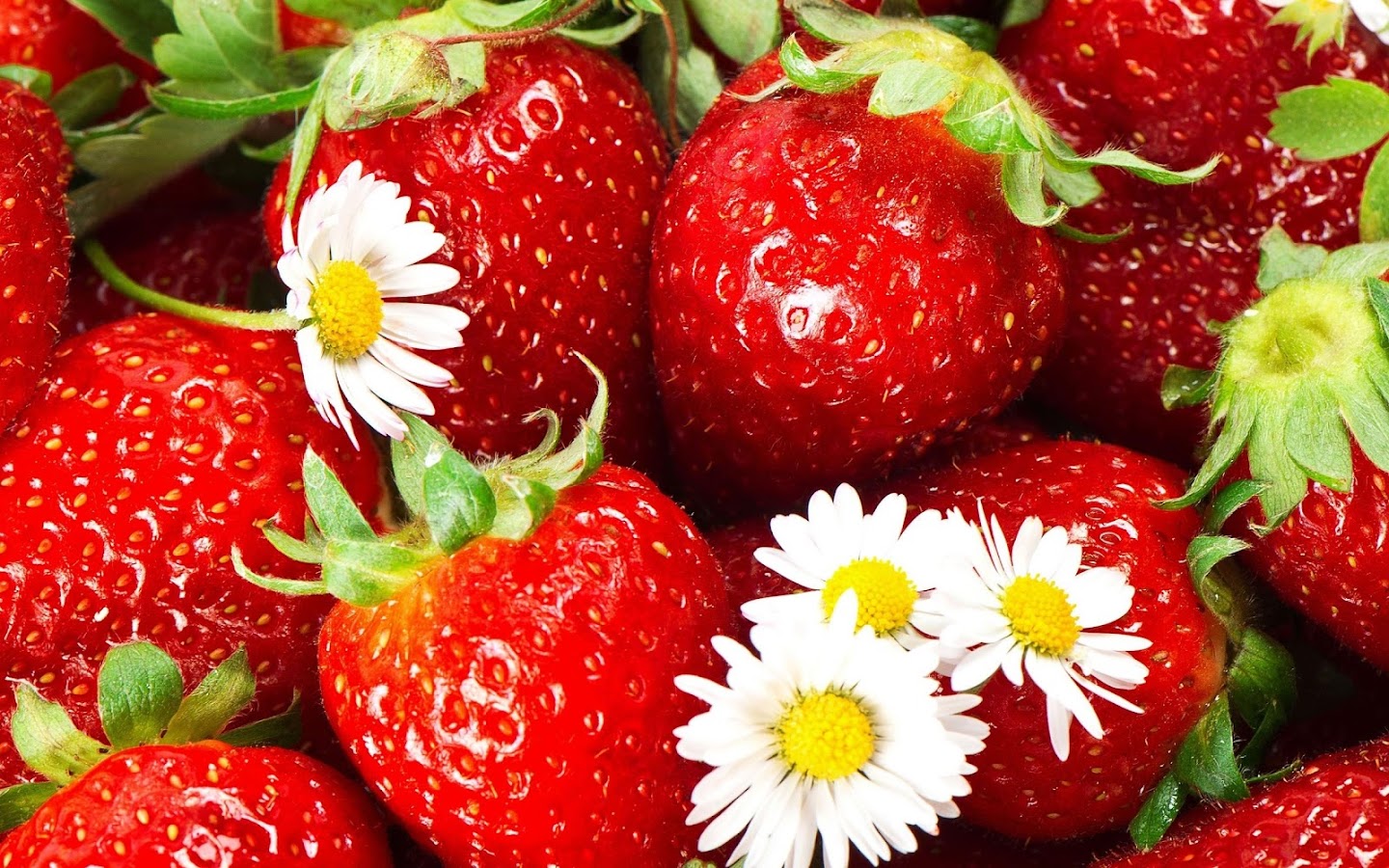 Strawberry Wallpaper Apl Android Di Google Play