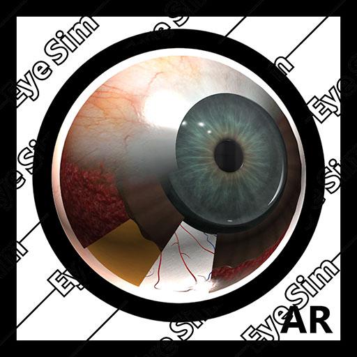 EyeSim-Preview