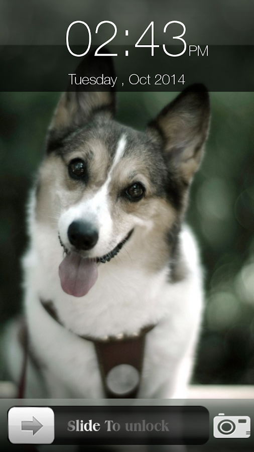 MRhTliYoe5ohuDSdbPXX81vA6zoOLO6QwMaz6RxOzdhABvfWjw9yz3uDc32Bp14Xyg=h900