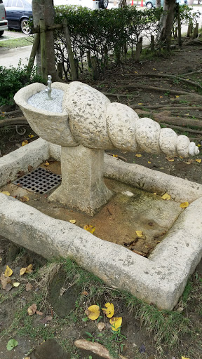 Conch Shell Drinking Fountain 3
